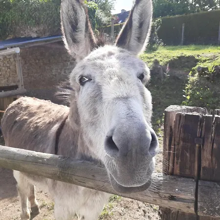 Tatil Evi De La Butte Le Charme De La Normandie Entre Terre Et Condé-sur-Vire