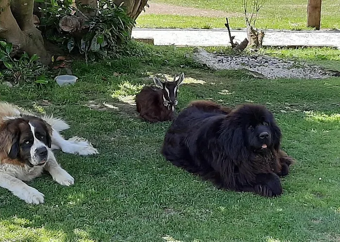 De La Butte Le Charme De La Normandie Entre Terre Et Conde-sur-Vire