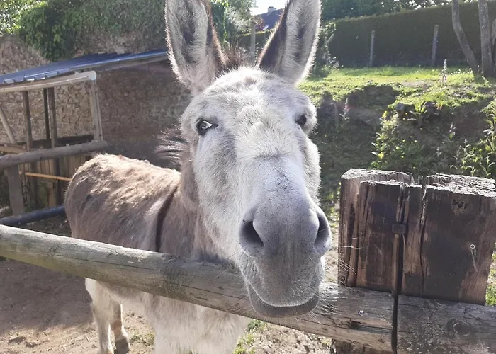 Holiday home De La Butte Le Charme De La Normandie Entre Terre Et Conde-sur-Vire