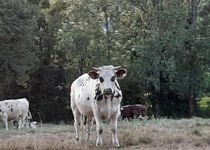 De La Butte Le Charme De La Normandie Entre Terre Et Holiday home